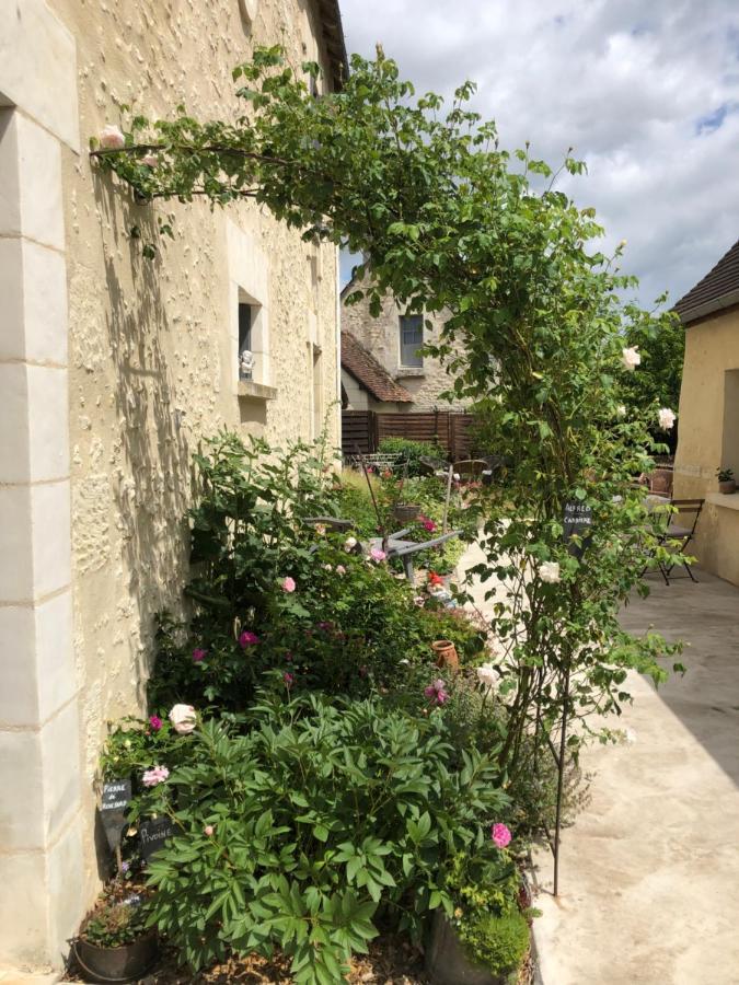 Les Chambres De L'Aigronne Le Petit-Pressigny Bagian luar foto